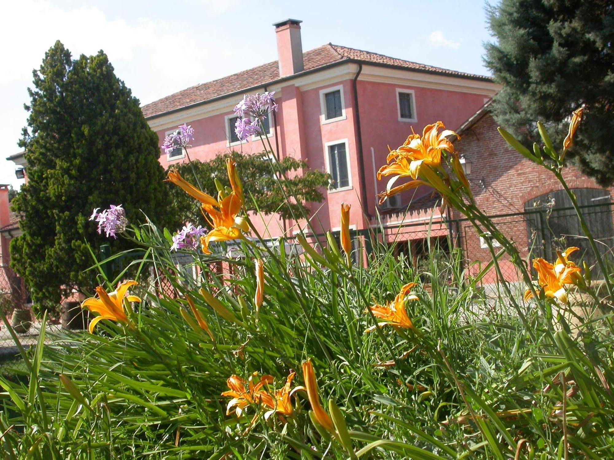 Bordeghina B&B In Farmhouse Pontecchio Polesine Exteriér fotografie